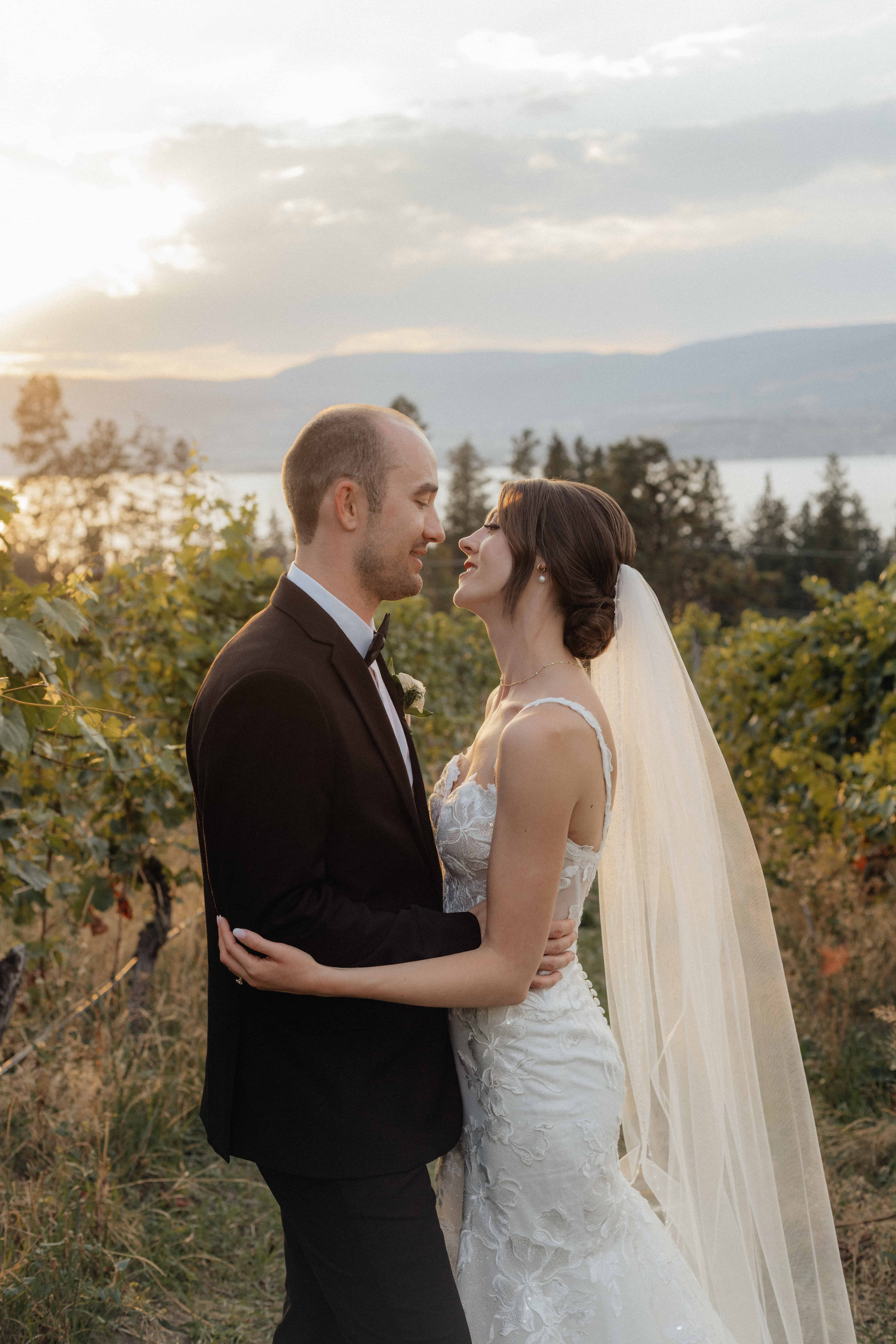 A bride and groom gaze lovingly into each other's eyes in a beautiful wedding portrait at Summerhill Winery, Kelowna at golden hour
